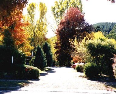 Goldfields Holiday Units - Maitland Accommodation 0