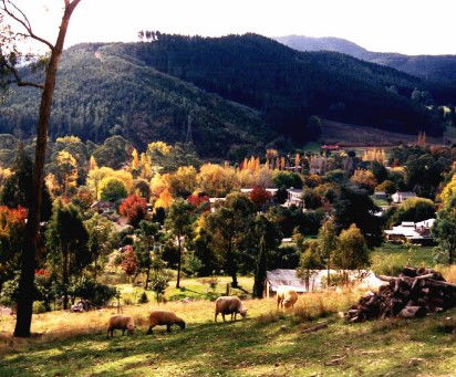 Goldfields Holiday Units - Maitland Accommodation 1