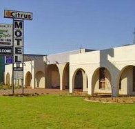 Citrus Motel - Maitland Accommodation