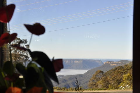 Jamison House And The Rooster Restaurant - Maitland Accommodation 1