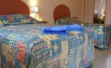 Yamba Twin Pines Motel - Yamba - Maitland Accommodation 0