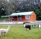 Moorallie Cottage Farm Stay - Maitland Accommodation