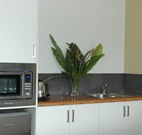 Toolond Plantation - Maitland Accommodation