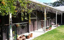 Air B And B Garden Studio - Maitland Accommodation 7