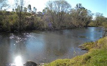 Ambleside Bed And Breakfast Cabins - Maitland Accommodation 4