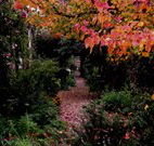 Gulgong B and B - Maitland Accommodation