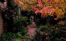 Gulgong B And B - Maitland Accommodation 0