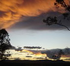 Silkwood B and B - Maitland Accommodation