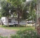 Gum Tree Heaven - Maitland Accommodation