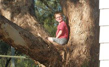 Leslie Cottage - Maitland Accommodation 7