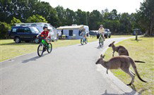 Norman Lindsay Cottage - Maitland Accommodation 4