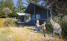 Norman Lindsay Cottage - Maitland Accommodation 9