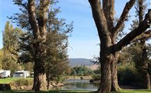 Sand Cottage - Maitland Accommodation 1