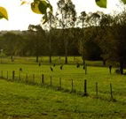 Stone Cottage Mittagong - Maitland Accommodation