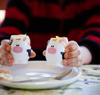 Cosy Cow Farmstay Bed and Breakfast - Maitland Accommodation