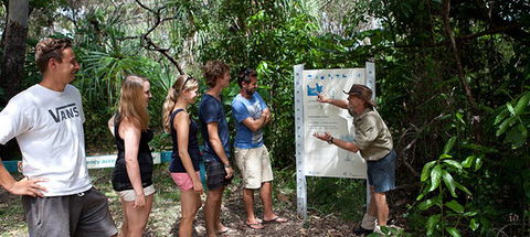 Magnetic Island YHA - Maitland Accommodation 8