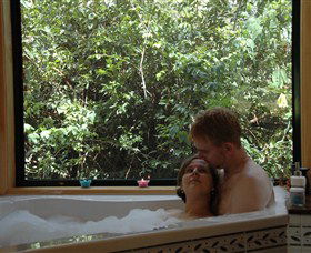 Ravensbourne Forest Chalets - Maitland Accommodation 0