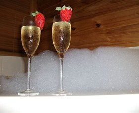 Ravensbourne Forest Chalets - Maitland Accommodation 1