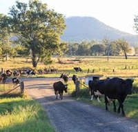 Tommerups Dairy Farmstay - Maitland Accommodation