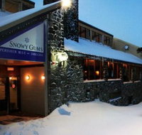 Snowy Gums Chalet - Maitland Accommodation