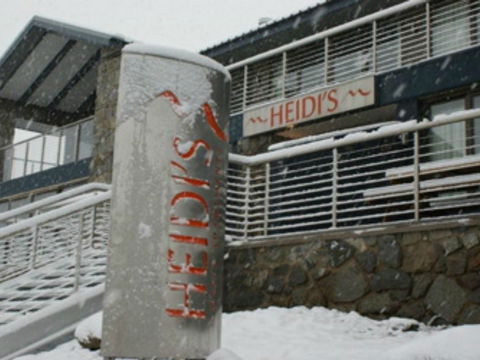 Heidi's Chalet - Maitland Accommodation 0