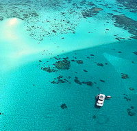 Ocean Free and Ocean Freedom - Cairns Premier Reef and Island Tours - Maitland Accommodation