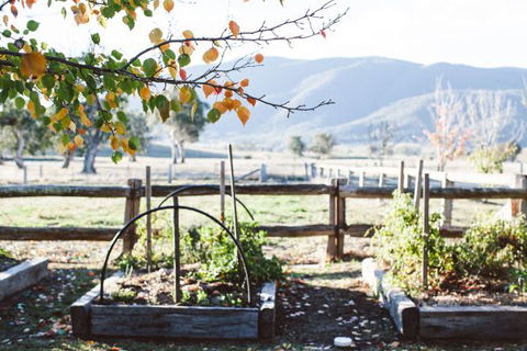 Alpine Edge Accommodation - Maitland Accommodation 5