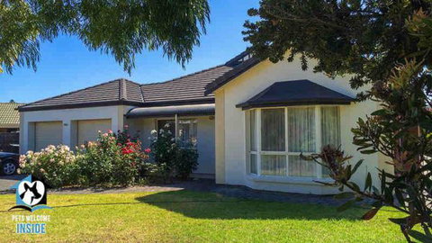 PetLet: Kensington Road Norwood - Maitland Accommodation 3
