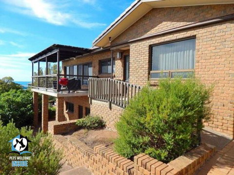 PetLet: Kensington Road Norwood - Maitland Accommodation 5