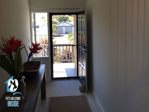 PetLet: Kensington Road Norwood - Maitland Accommodation 7