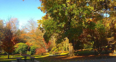 Eastern Dandenong Ranges Visitor Information Centre - Maitland Accommodation 1