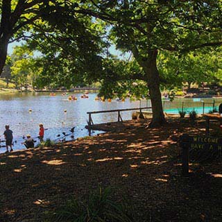 Eastern Dandenong Ranges Visitor Information Centre - Maitland Accommodation 4