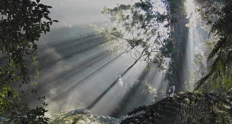 Eastern Dandenong Ranges Visitor Information Centre - Maitland Accommodation 5