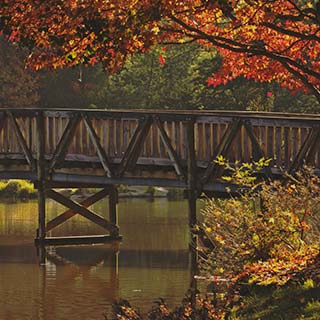 Eastern Dandenong Ranges Visitor Information Centre - Maitland Accommodation 6