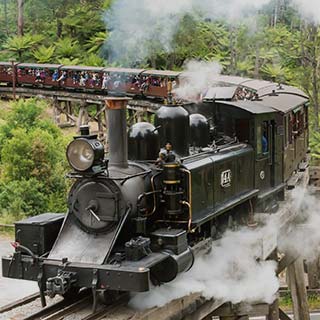 Eastern Dandenong Ranges Visitor Information Centre - Maitland Accommodation 7
