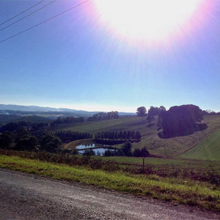 Eastern Dandenong Ranges Visitor Information Centre - Maitland Accommodation 9