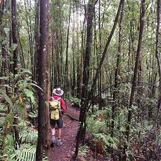 Eastern Dandenong Ranges Visitor Information Centre - Maitland Accommodation 11