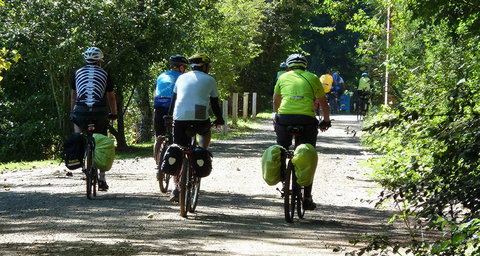 Eastern Dandenong Ranges Visitor Information Centre - Maitland Accommodation 13