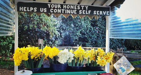 Eastern Dandenong Ranges Visitor Information Centre - Maitland Accommodation 15