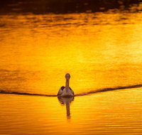 River Shack Rentals - Living the Dream - Maitland Accommodation