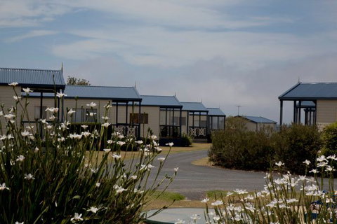 Swan Bay Holiday Park - Maitland Accommodation 0