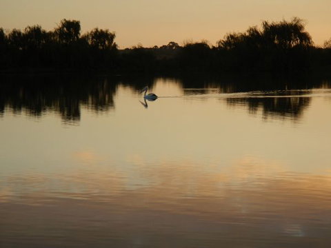 Washpool Retreat - Maitland Accommodation 7