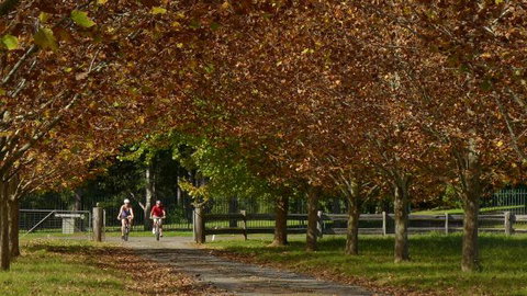 Promised Land Retreat - Maitland Accommodation 9