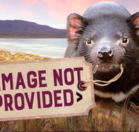 Thalia Haven - Maitland Accommodation