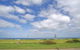 Beach Point - thumb 8
