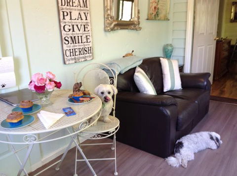 Must Love Dogs B&B And Self-Contained Cottage - Maitland Accommodation 4