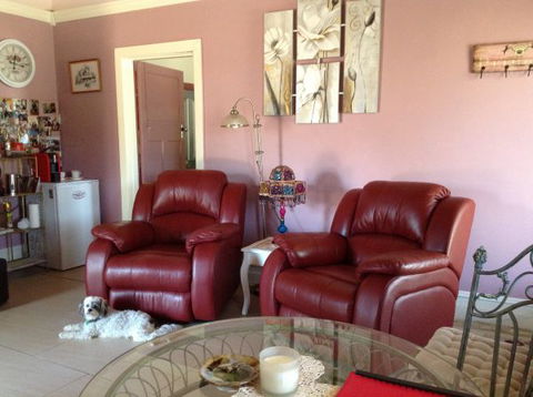 Must Love Dogs B&B And Self-Contained Cottage - Maitland Accommodation 7