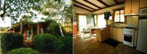 Bright Pine Valley Tourist Park - Maitland Accommodation 1