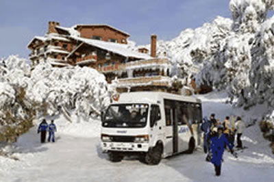 Alpine Holiday Rentals - Maitland Accommodation 2