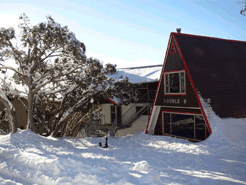 Double B Ski Lodge - Maitland Accommodation